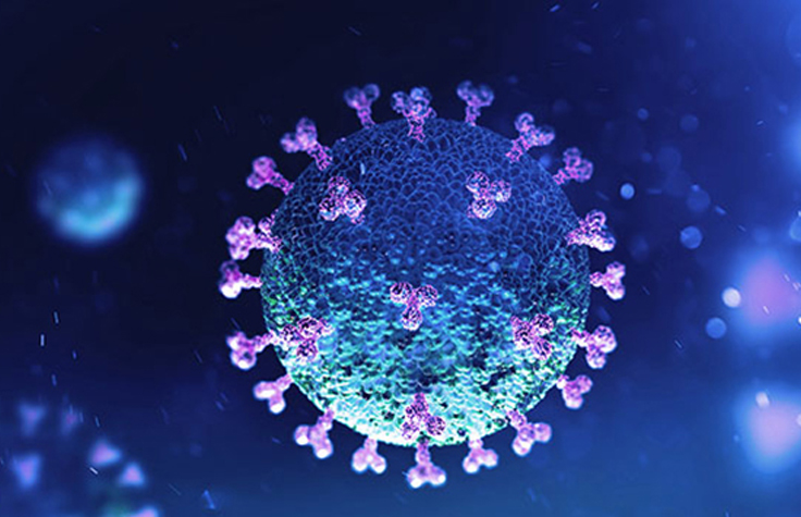 Using a sequencer to detect coronavirus