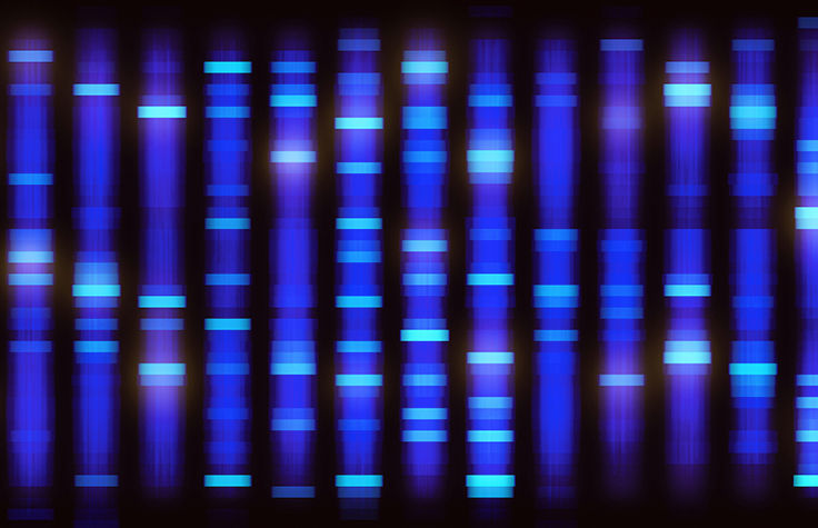 AmpliSeq for Illumina Sequencing Solution