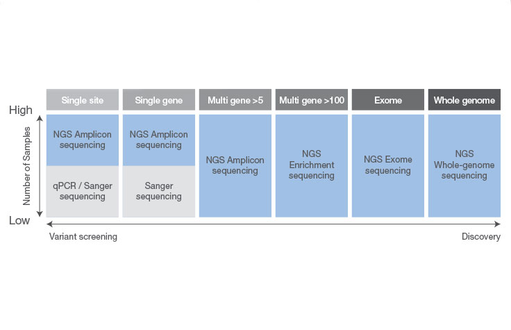 slette faglært international NGS vs. Sanger Sequencing