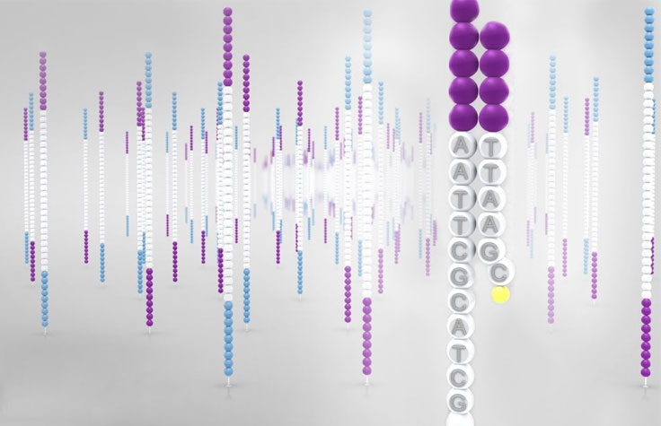 slette faglært international NGS vs. Sanger Sequencing