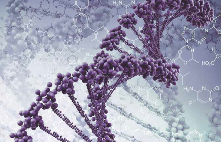 DNA Sequencing Methods Review