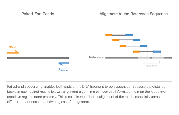 First Next Last - Sequencing Board