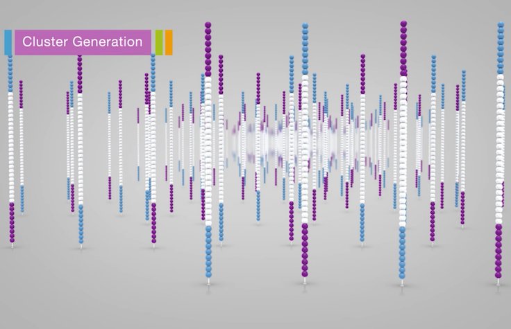 Benefits Of Sbs Technology ǀ Robust Sequencing Data Quality