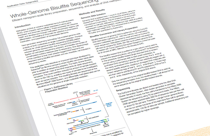 Whole-Genome Bisulfite Sequencing Library Prep