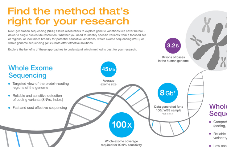 Illumina Sequencing Flow Chart