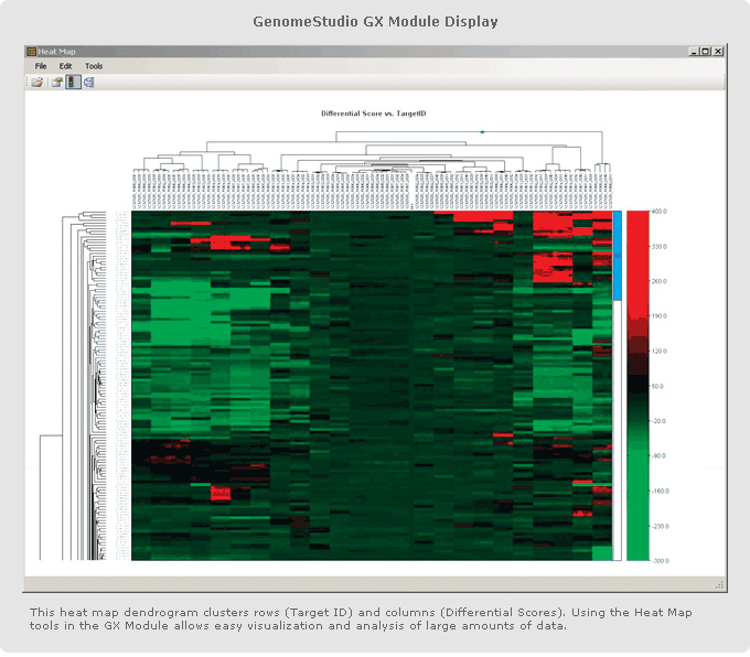 Gene Expression Module