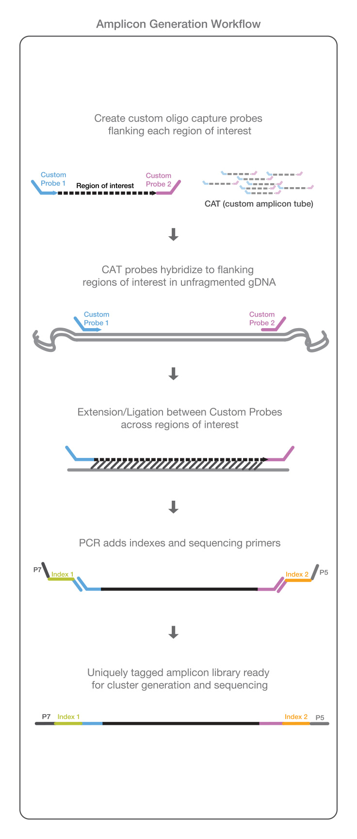 Illumina Sequencing Flow Chart