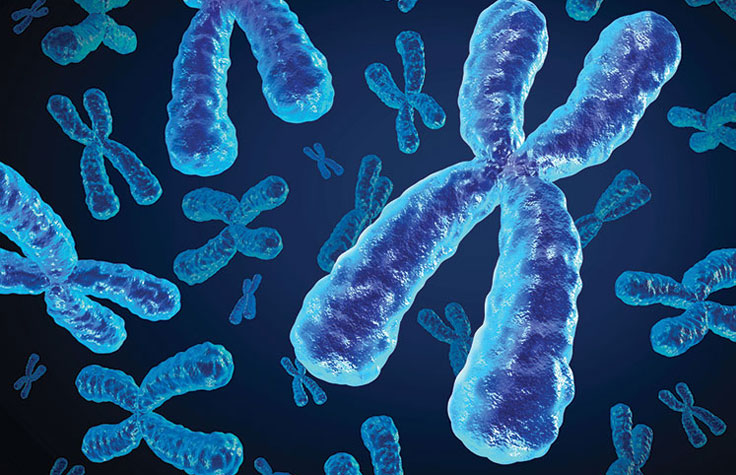 HLA Sequencing