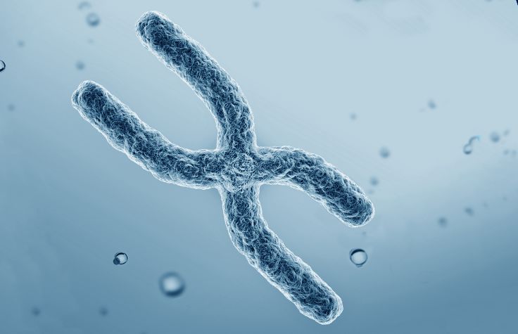 cytogenomics chromosomal abberations