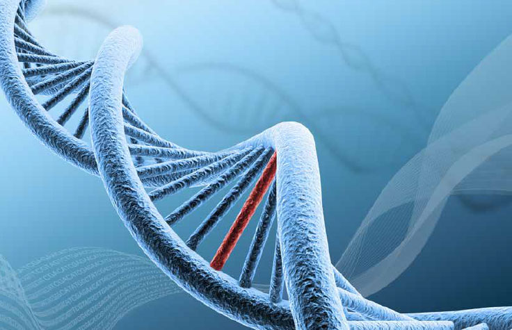 Targeted Resequencing Guide