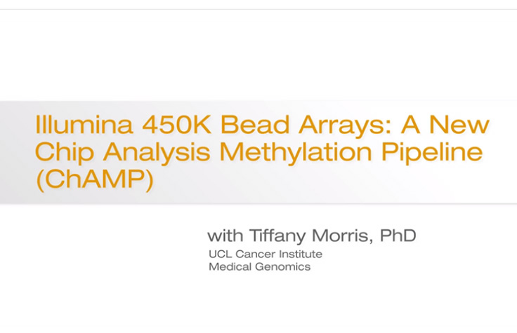 Illumina 450K BeadChip Arrays: A New Chip Analysis Methylation Pipeline (ChAMP)