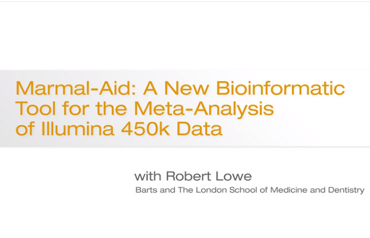 Marmal-Aid: A New Bioinformatics Tool for Meta-Analysis of Illumina 450K Data