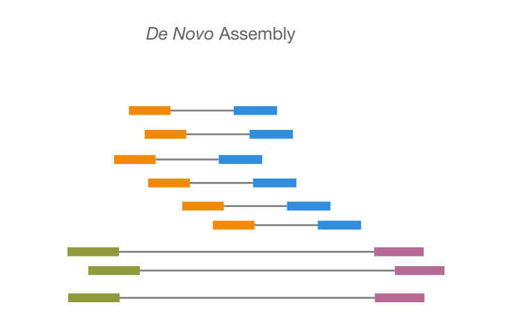 Accurate Genome Assembly