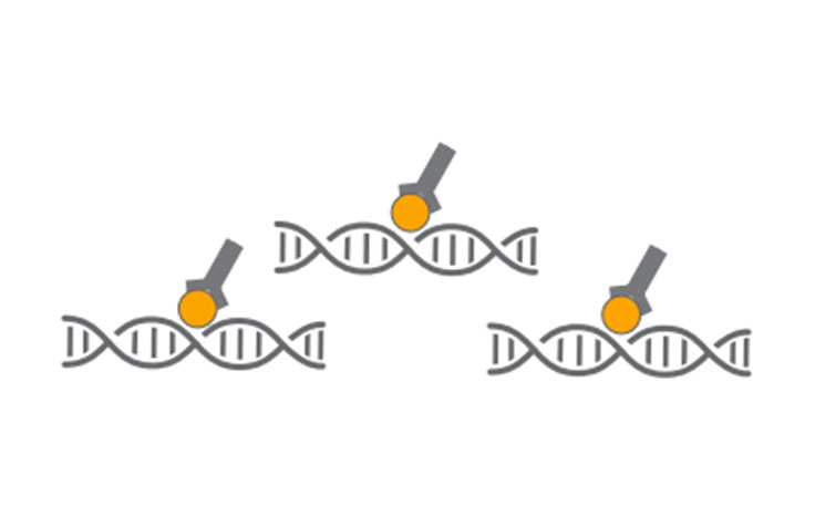 Advantages of ChIP-Seq