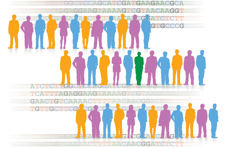 Human Genotyping | Microarrays for population and disease ...