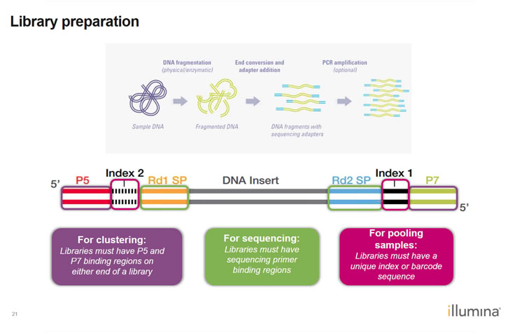 NGS Tutorials | Bioinformatics and more