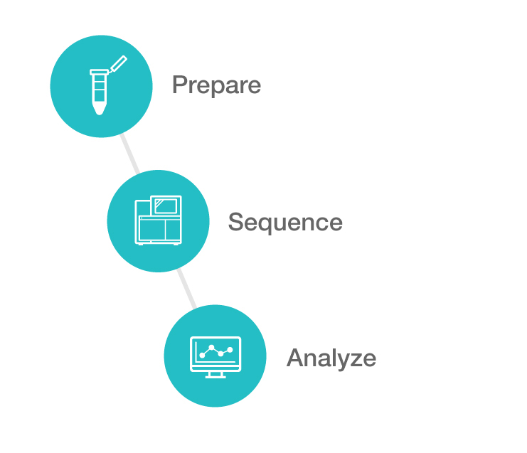 example NGS workflow infographic