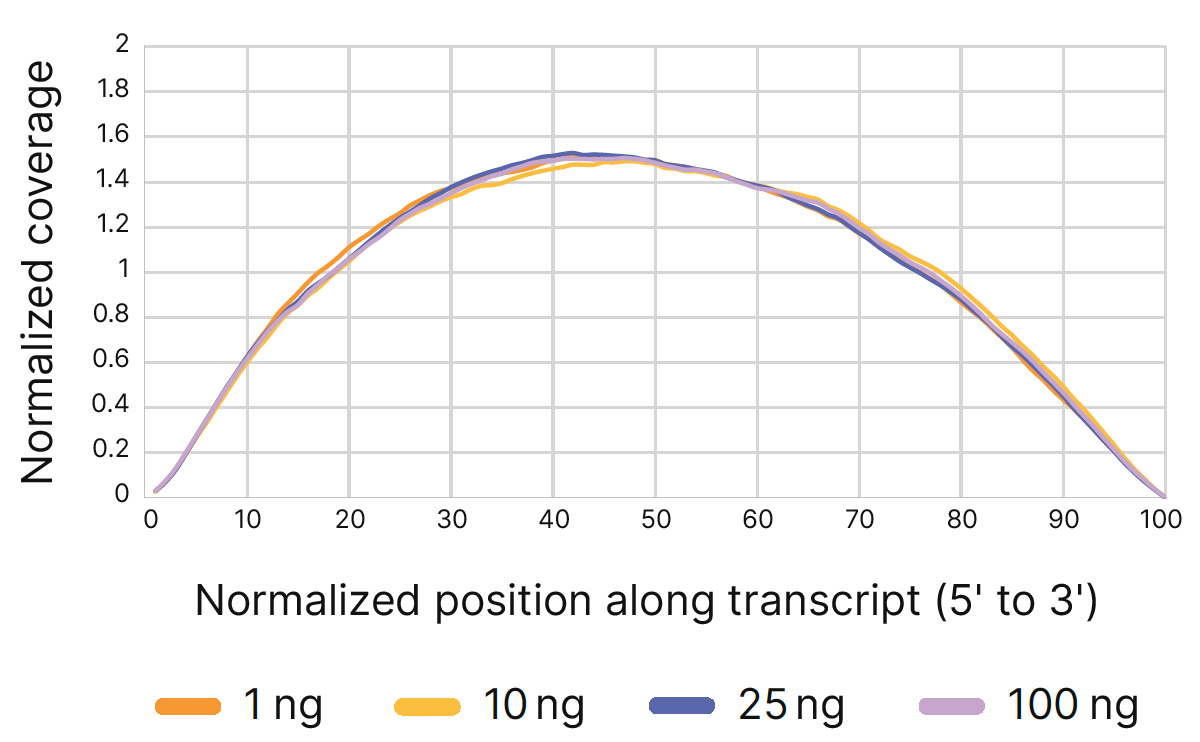 Uniform coverage across transcripts with Illumina Rapid mRNA Prep