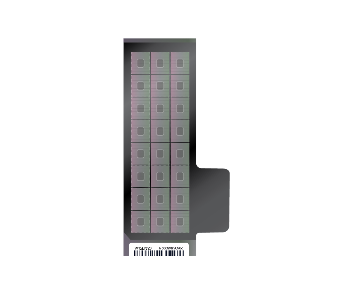 Infinium Global Clinical Research Array with Enhanced PGx-24 v1.0 Kit