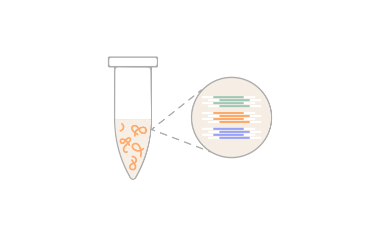 illuminaページ Illumina Single Cell 3' RNA Prep Kits | Scalable scRNA-Seq