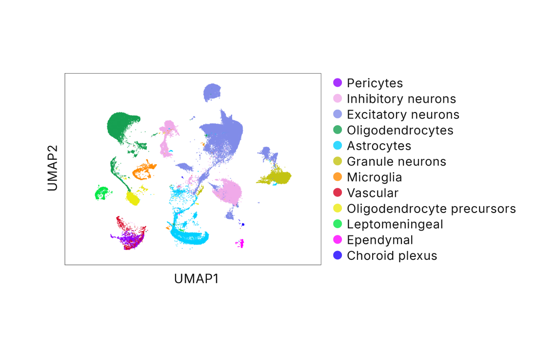 illuminaページ Illumina Single Cell 3' RNA Prep Kits | Scalable scRNA-Seq
