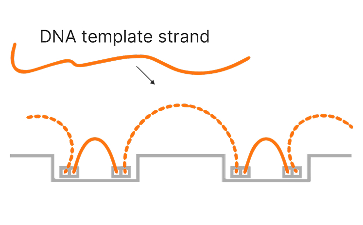 Figure 1b: Side view of constellation pattern