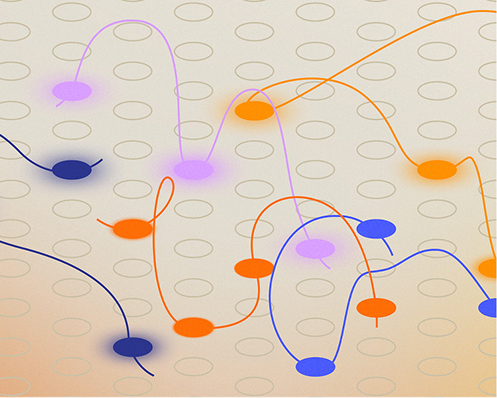 Mapped reads